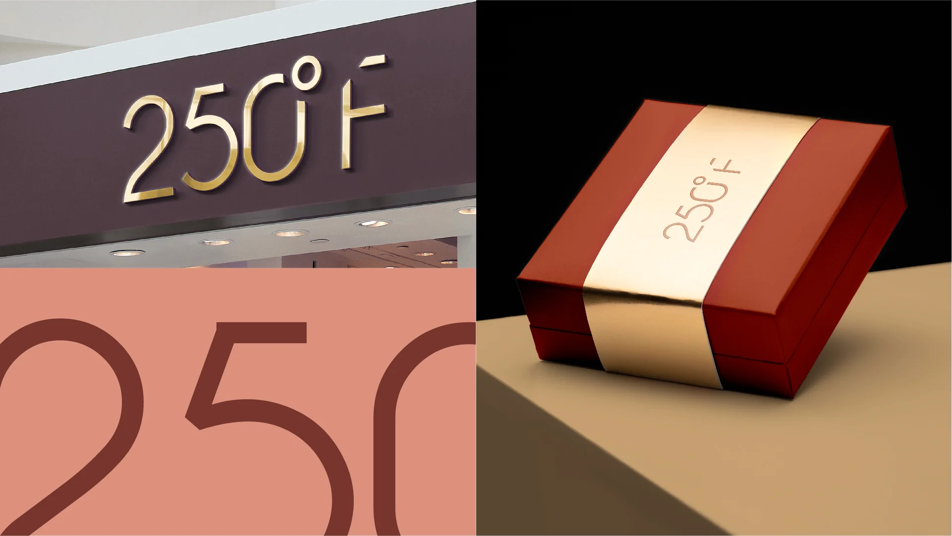 250-Presentation-02